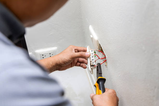 Best Electrical Upgrades for Homes  in Williamsburg, FL